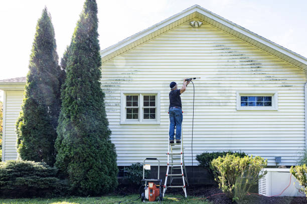 Best Gutter Cleaning  in Fulshear, TX
